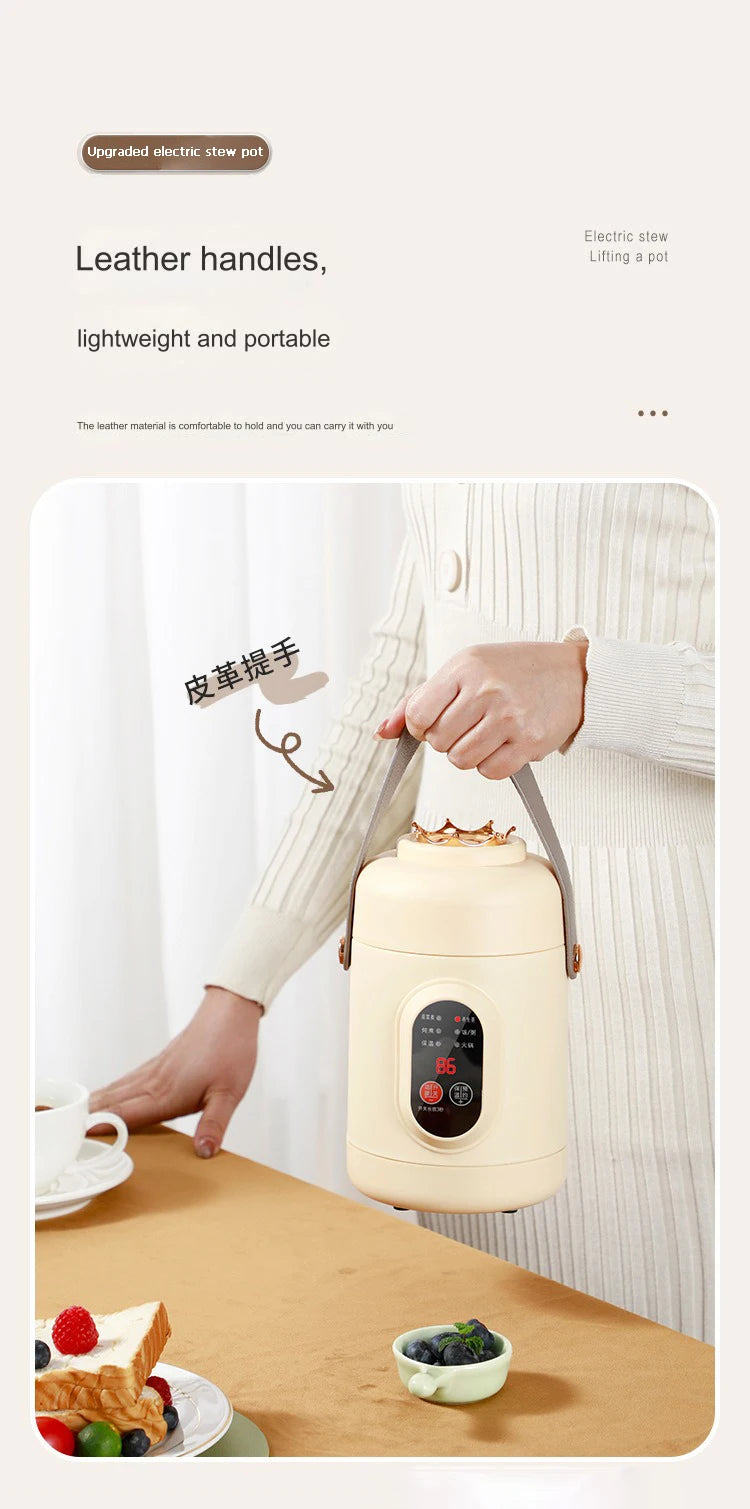 Portable Electric Kettle Rice Cooker Lunch Box Mini Soup Stew Slow Cooking Pot Porridge Food Steamer Noodles Pasta Heater Hotpot