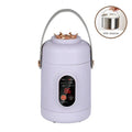 Portable Electric Kettle Rice Cooker Lunch Box Mini Soup Stew Slow Cooking Pot Porridge Food Steamer Noodles Pasta Heater Hotpot