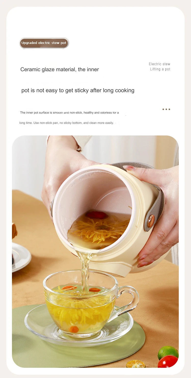 Portable Electric Kettle Rice Cooker Lunch Box Mini Soup Stew Slow Cooking Pot Porridge Food Steamer Noodles Pasta Heater Hotpot