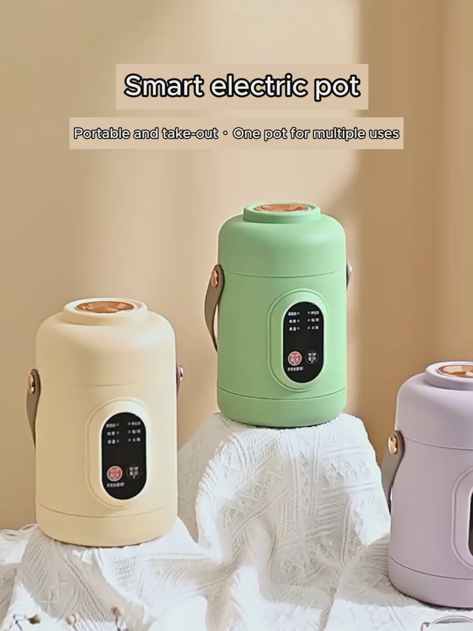 Portable Electric Kettle Rice Cooker Lunch Box Mini Soup Stew Slow Cooking Pot Porridge Food Steamer Noodles Pasta Heater Hotpot
